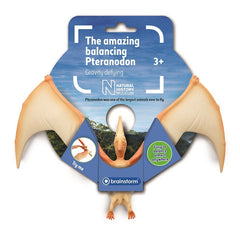 Balancing Pteranodon