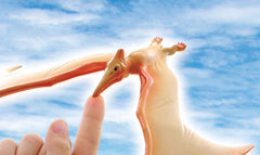 Balancing Pteranodon
