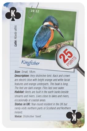 52 Ways Nature Series Playing Cards - Wild Birds