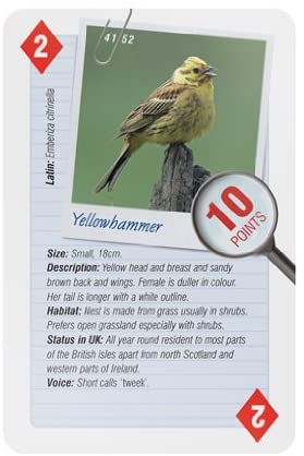 52 Ways Nature Series Playing Cards - Wild Birds