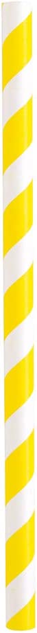 Assorted Colour Stripe Smoothie  Paper Straws - Pack of 10