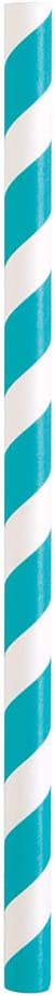 Assorted Colour Stripe Smoothie  Paper Straws - Pack of 10