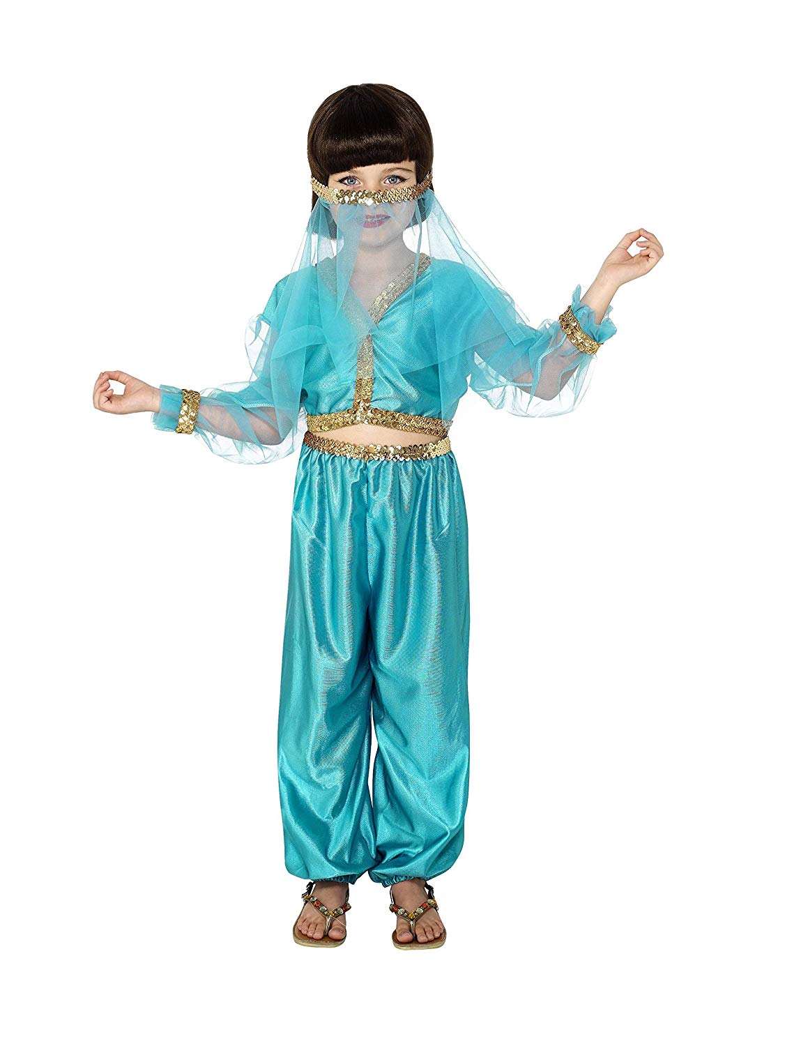 Arabian Princess Costume