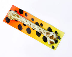 Barbarian Bone