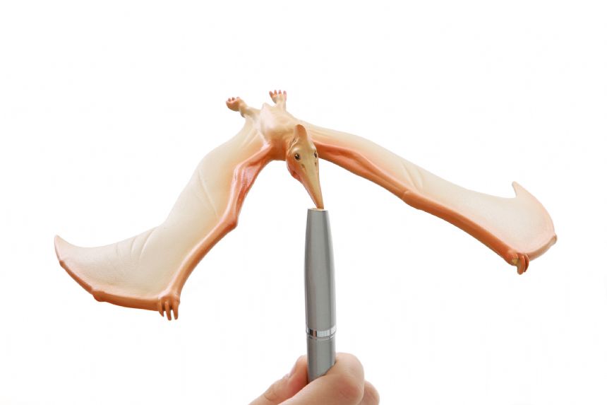 Balancing Pteranodon