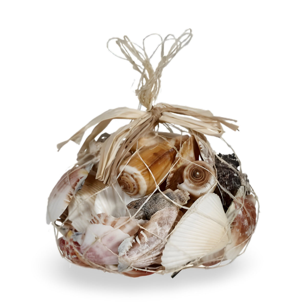 Abaca Sea Shells - Net Bag (350gm)