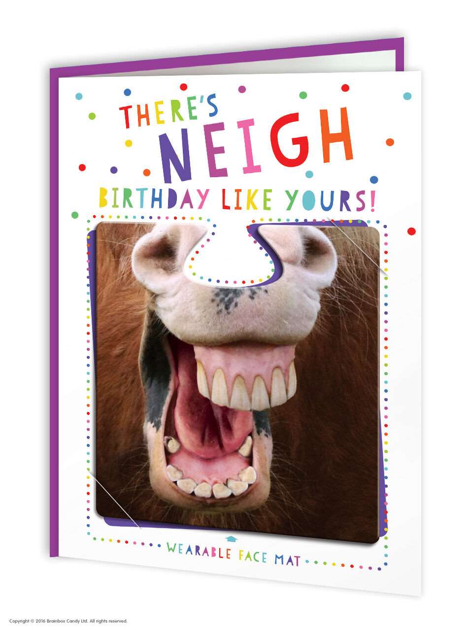 'There's Neigh Birthday Like Yours' Face Mat Card